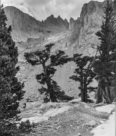 Below Mt. Whitney, Sierras
20151107-NegScan 46.jpg